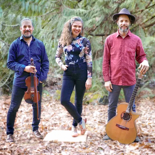 Photo of three musicians, violin, guitar and tap dancing.