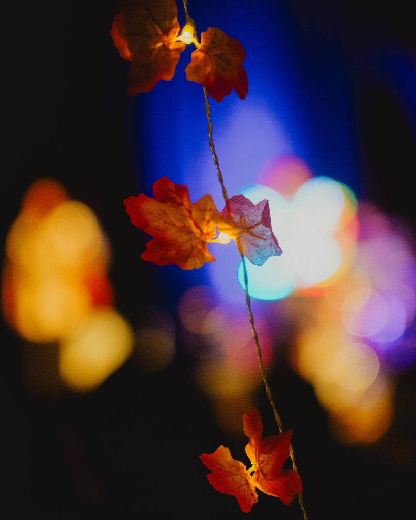 Photograph of maple leaves lights.